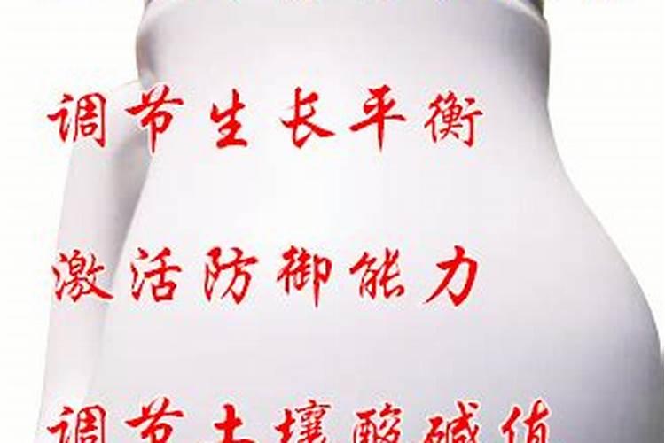 钙镁硼锌铁钾中微元素水溶肥能用在蔬菜上吗