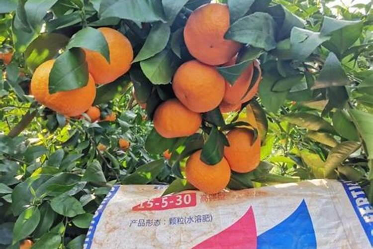 种石榴要用什么肥才结果(石榴一年中多久施一次肥)
