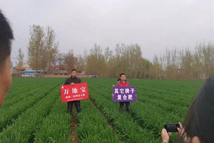 高氯肥料适合什么作物