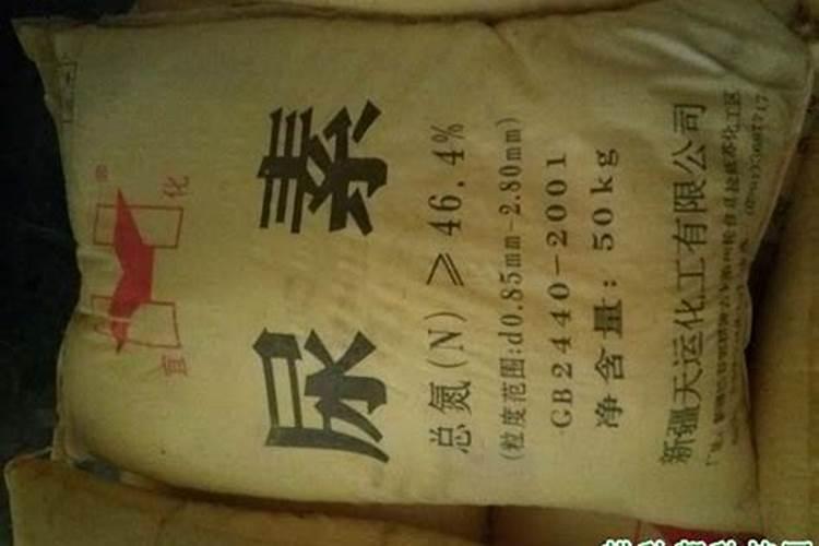 月季修剪后施什么肥