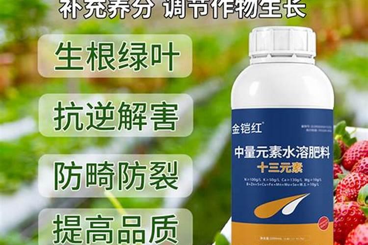 牡丹花怎么度夏 方法是什么