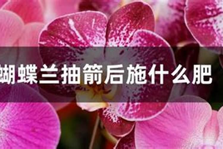 辣椒苗床氮肥多,怎么办？
