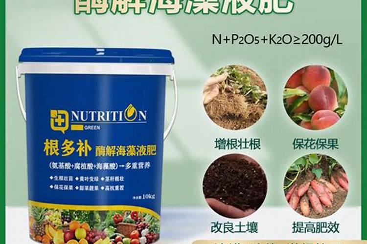 请问矿源黄腐酸钾什么时候用效果最好!