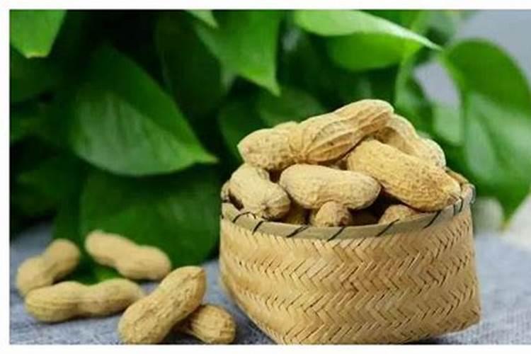 种植花生用什么肥料