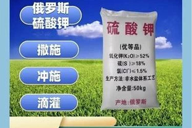 在阳台种菜最好的是用什么肥料