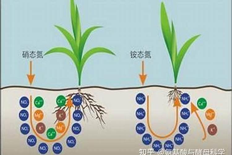 烤烟种植一亩利润多少？