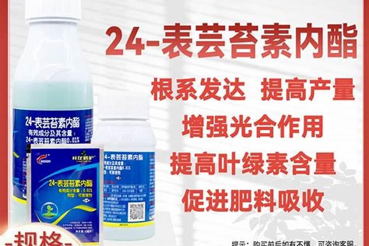 芸苔素多久喷一次,什么时候不能喷,什么情况下使用