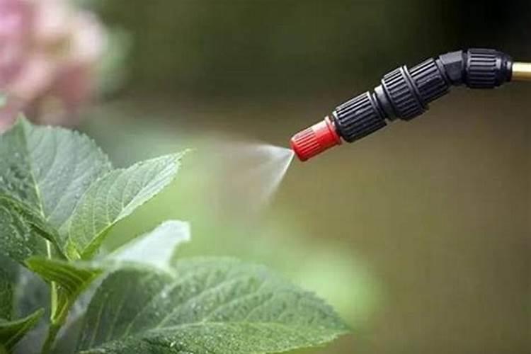 种烟草一亩地赚多少钱