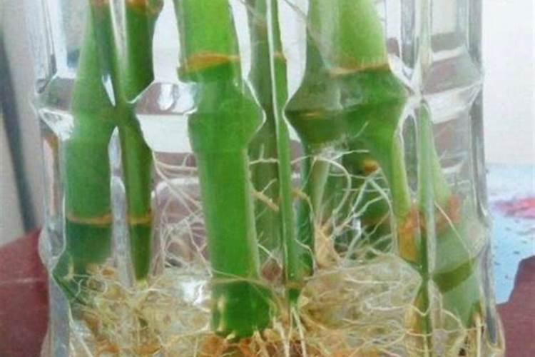 有机肥,复合肥,复混肥有何区别？常用肥料分那几类,具体有哪些？