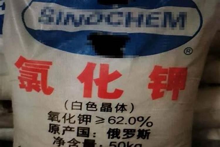 西瓜要打头吗？什么时候打？