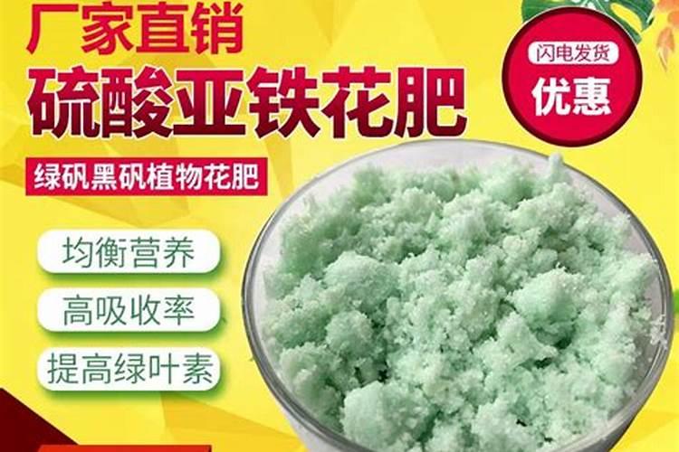 六月苹果树如何栽培管理,有哪些注意事项