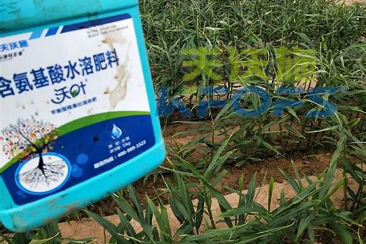 叶面肥中100斤水兑多少硝酸钙？