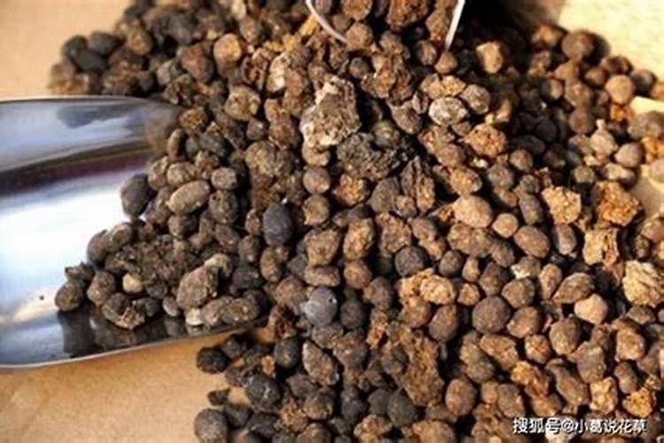 鱼蛋白肥料钾含多少
