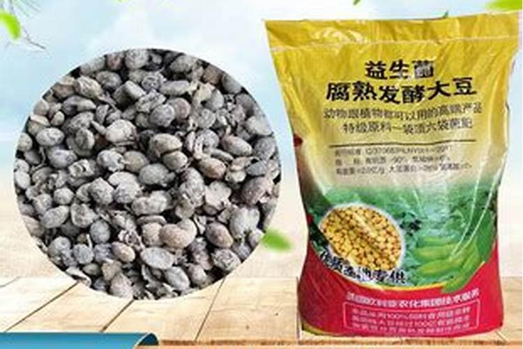 大蒜已抽苔打芸苔素能打吗？
