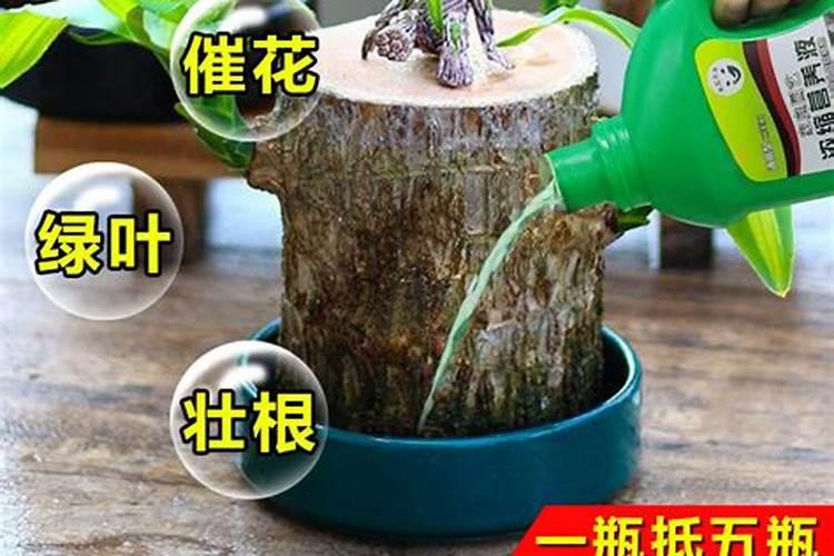 氨基酸水溶肥能缓解杨树肥害吗