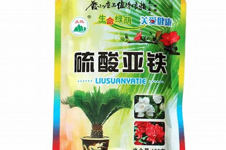 兰花黄叶如何判断和防治技巧
