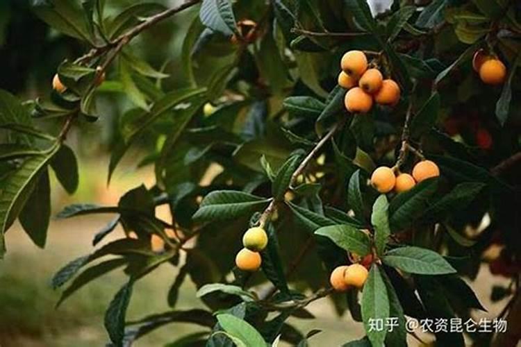 磷矿石最多的上市公司