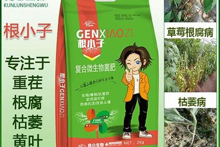 豆渣沤的肥主要成份是什么