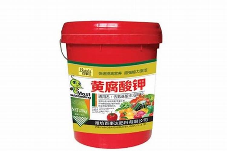 油桃怎么种植？