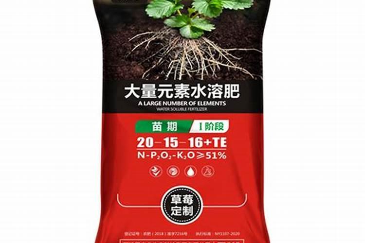 生姜提苗用什么水溶肥