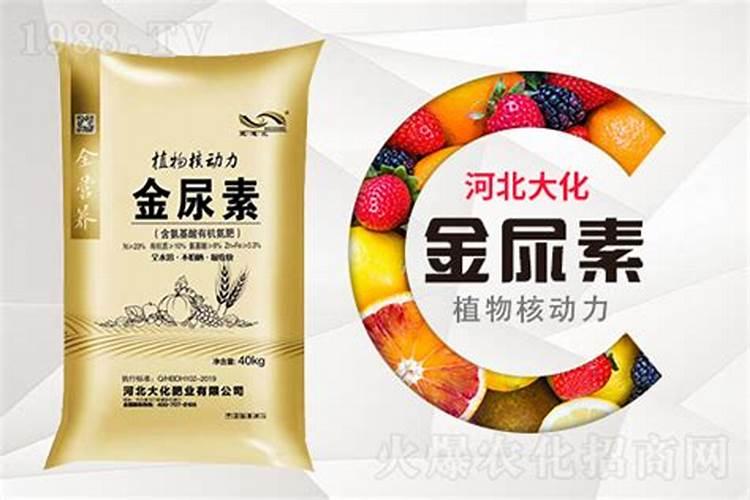 辣椒苗床期用什么肥料壮苗长得快