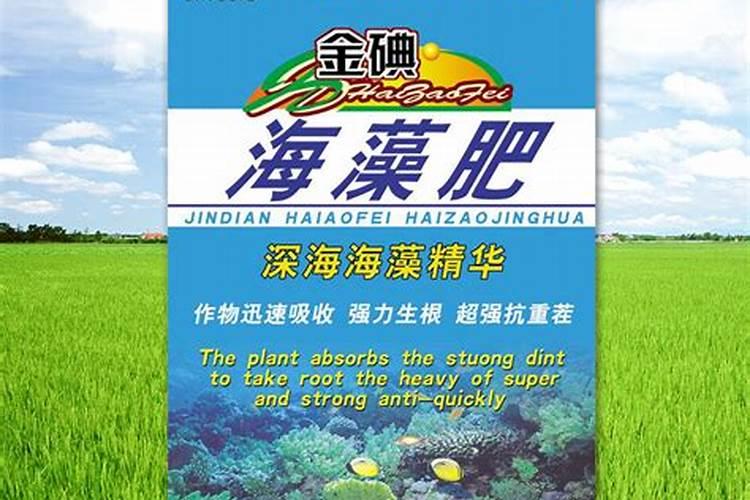 海澡肥的用法