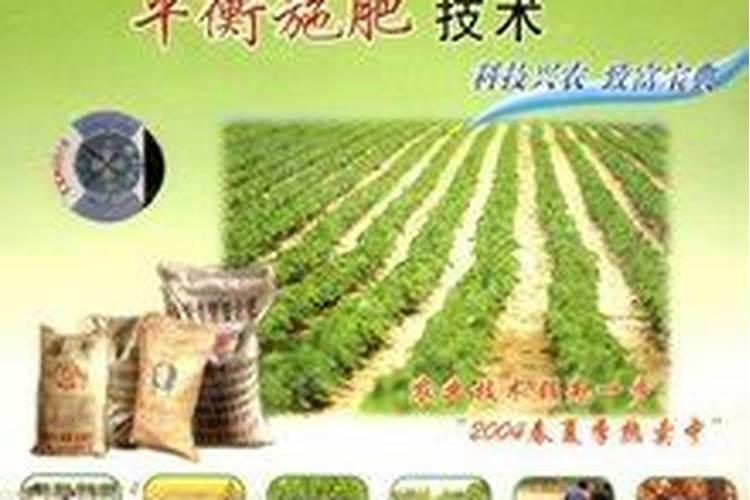 平衡肥是什么肥