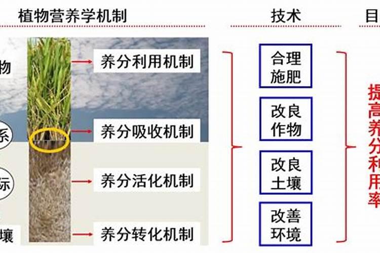 平衡施肥基本原理