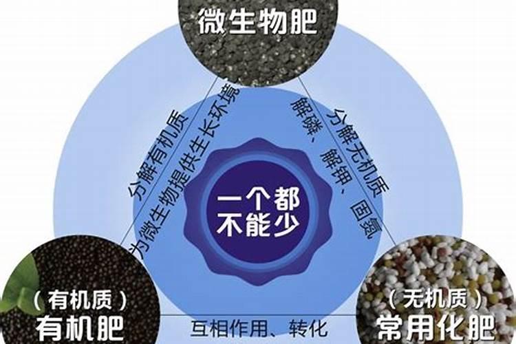 什么是植物营养的平衡施肥？