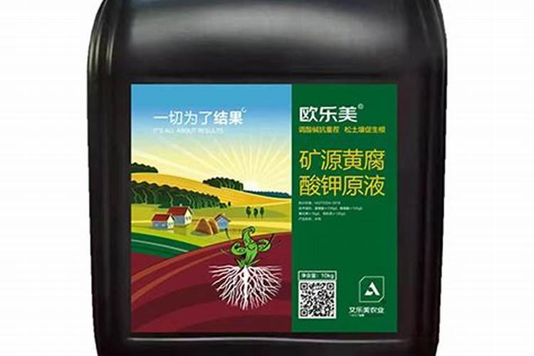 柑橘白癞病防治,6一8月打什么药