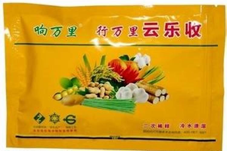 柑橘种植应该注意什么
