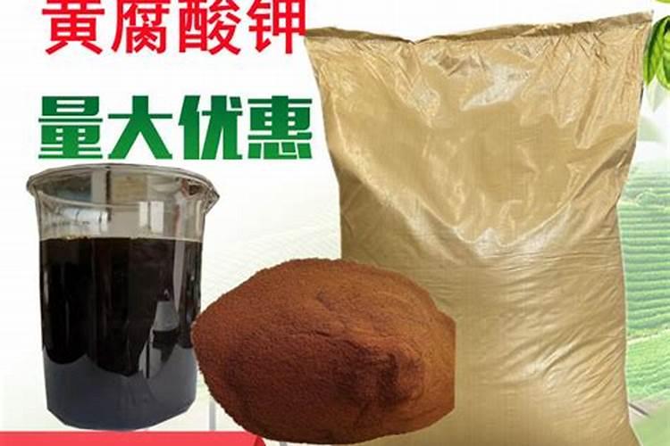 氮肥膨果还是钾肥膨果