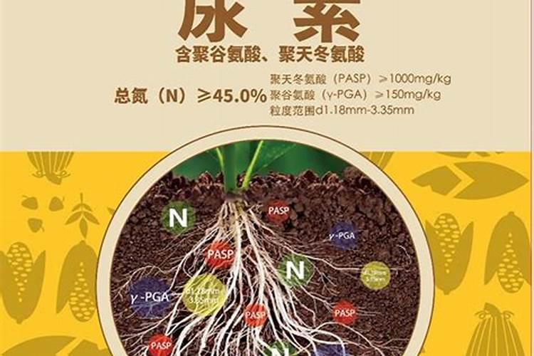 菜地常用的化学肥料包括哪几类？有何特点？