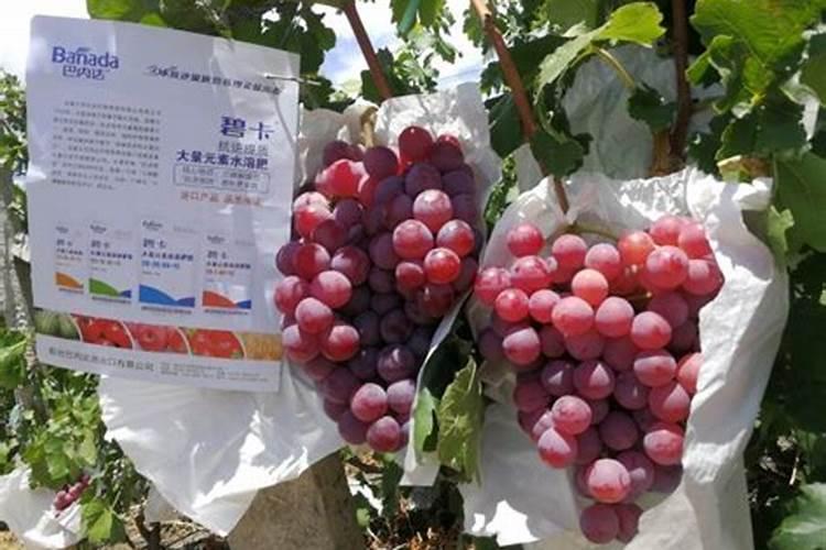 烯磷酸钾在哪里有卖的？