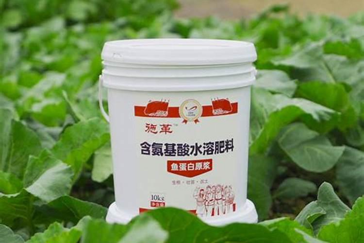 多肉浇水能浇在叶子上吗