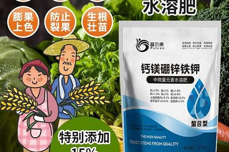哪种叶面用的钙肥吸收好