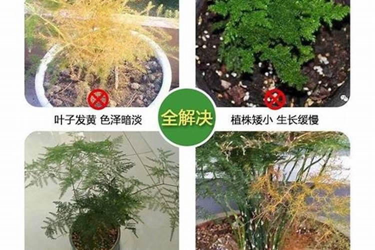 含硼的农家肥料有哪些