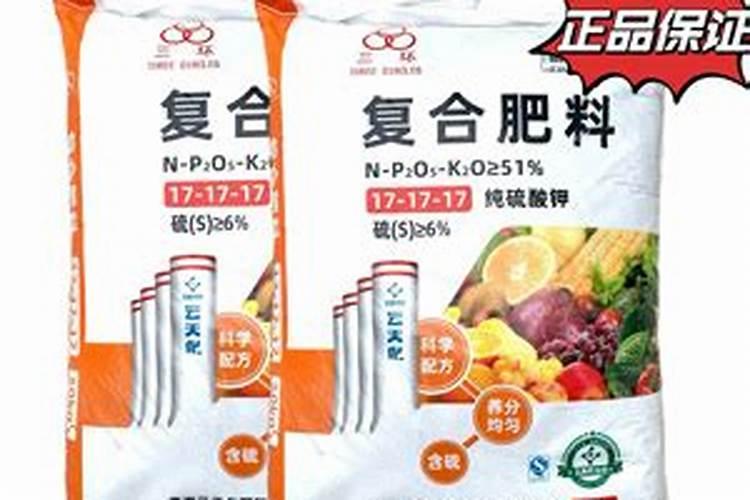 大白菜上的“小黑点”是什么？能不能吃？多年的疑问解开了