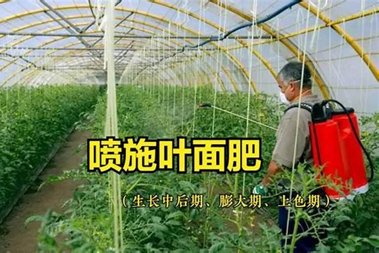 叶面肥打后下雨有效吗