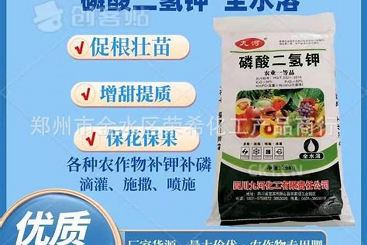柑橘全年打药时间 什么时候打药好