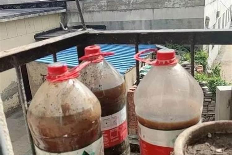 杜鹃花施硫酸亚铁多了叶子黄怎么办