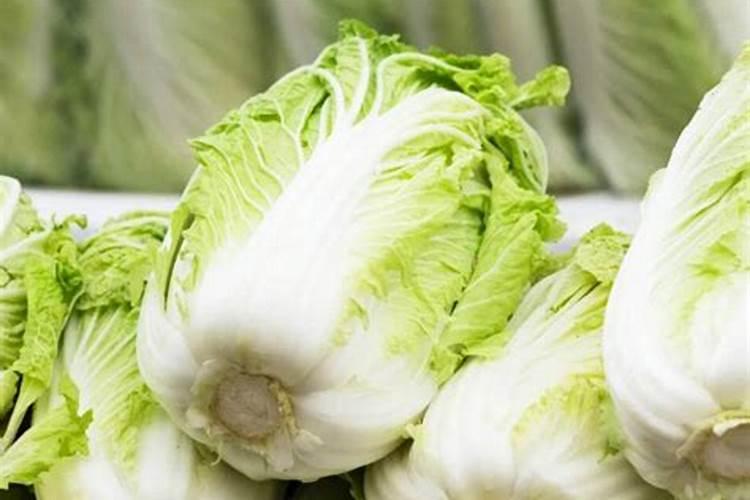 白菜最关键一次追肥时间