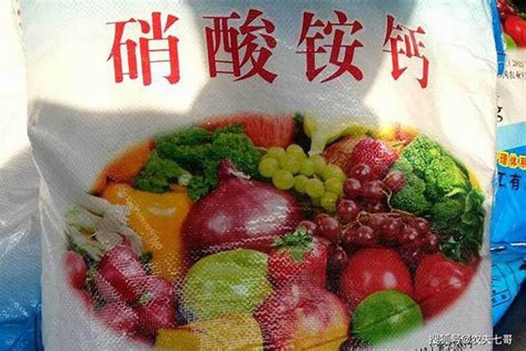 西红柿脐腐病怎样治!已经补充三次钙了