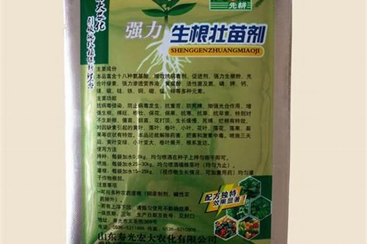怎么给鱼缸里的水草施肥