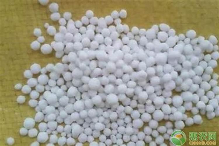 沸石粉在水产养殖的作用