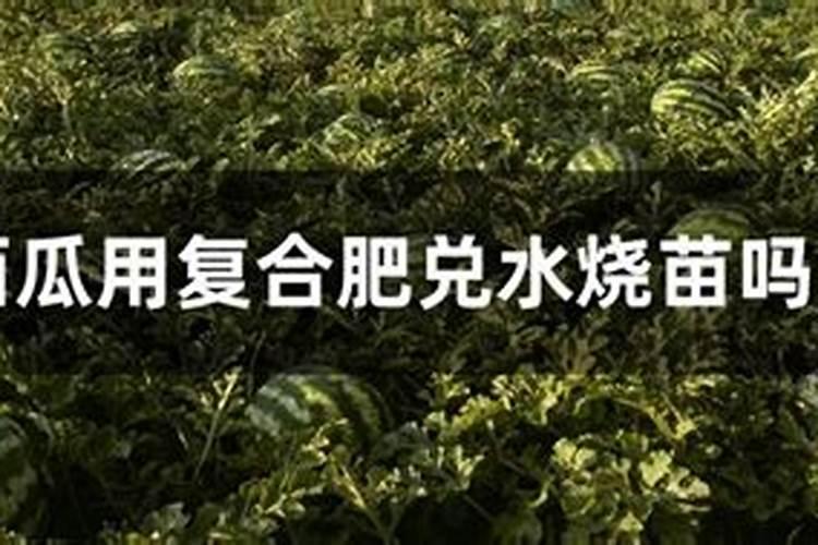 如何使用用茶籽饼清塘消毒
