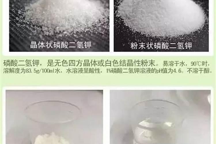 斑节虾养殖技术