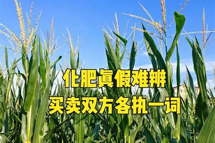 西瓜苗期应该用什么肥料 有哪些注意事项