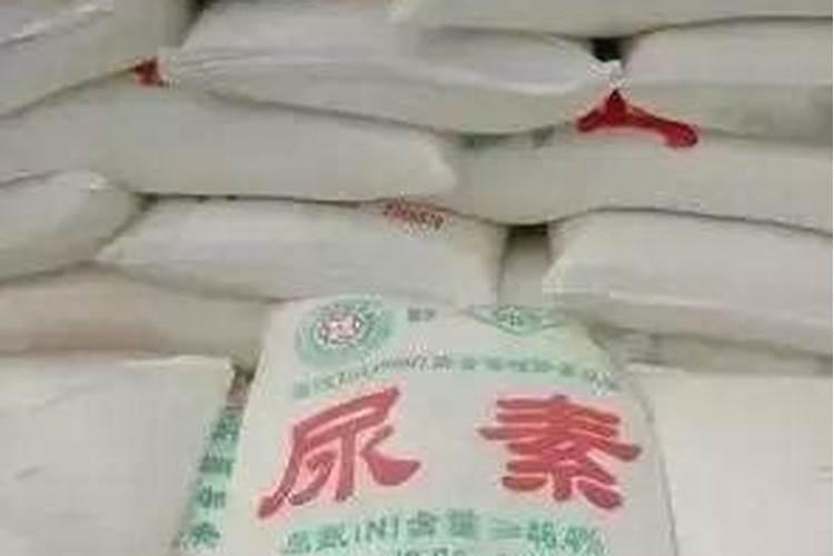 柑橘转色很慢,想要转色快一点应该用什么方式施肥最合适？