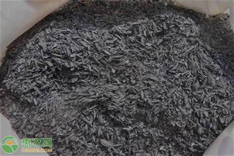 怎么使用草木灰养花 使用草木灰养花的方法